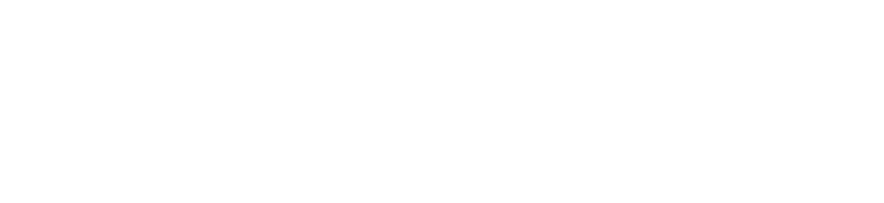 Weslley Rodrigues